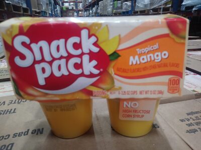 Tropical mango pudding