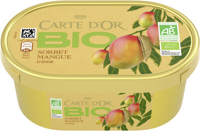 CARTE D'OR Glace Sorbet Bio Mangue d'Inde 450ml