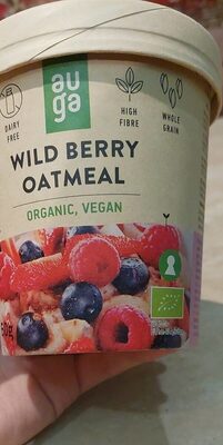 Wild berry oatmeal