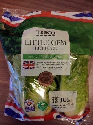 Little Gem Lettuce