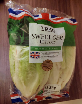 Sweet gem lettuce