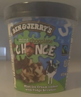 Mint Chocolate Chance Ice Cream