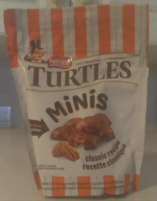 Turtles Minis